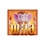 Ganesha Fortune usun สล็อตพระพิฆเนศ มีสัญลักษณ์ Wild เป็นรูป ช้างpg พระพิฆเนศ แทนสัญลักษณ์ทั้งหมด สัญลักษณ์ Wild มีโอกาสได้รางวัลได้ง่ายมาก
