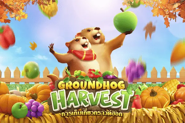 Groundhog Harvest เกมสล็อต usun เจ้าหนูทดลองกราวด์ฮอก เกมใหม่จากค่ายยอดฮิตอย่าง PG SLOT ที่มีคนเลือกเล่นอย่างต่อเนื่อง